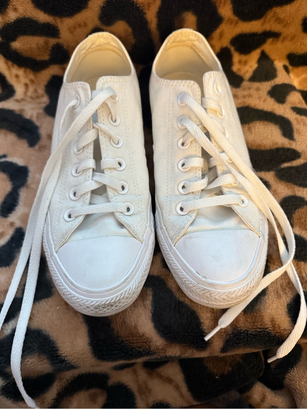 Converse Low-Top Canvas Sneakers in White